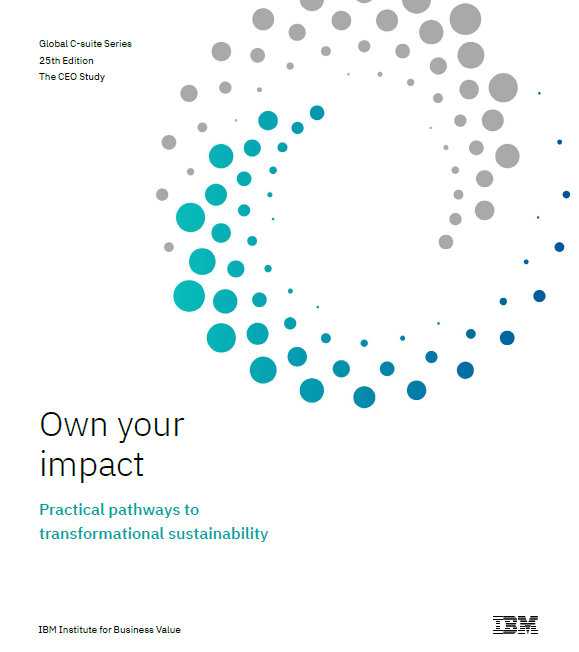 IBM CEO Study - Own your impact