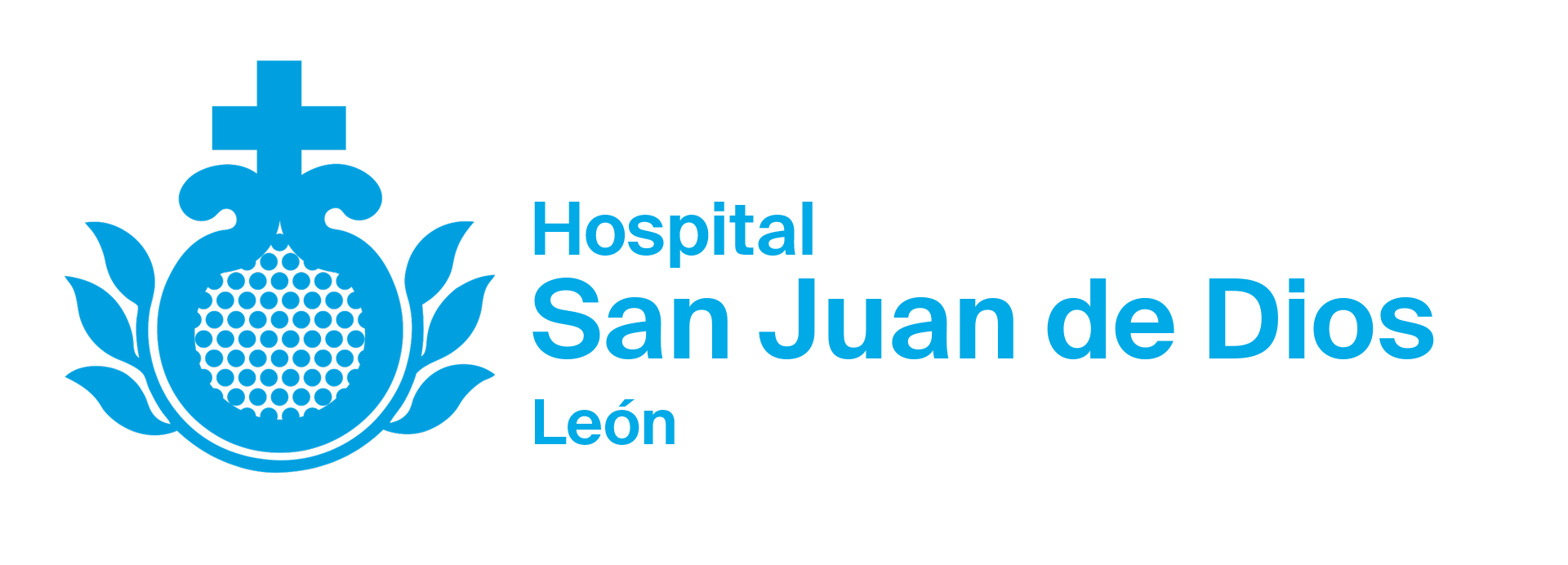 Logo HSJD León