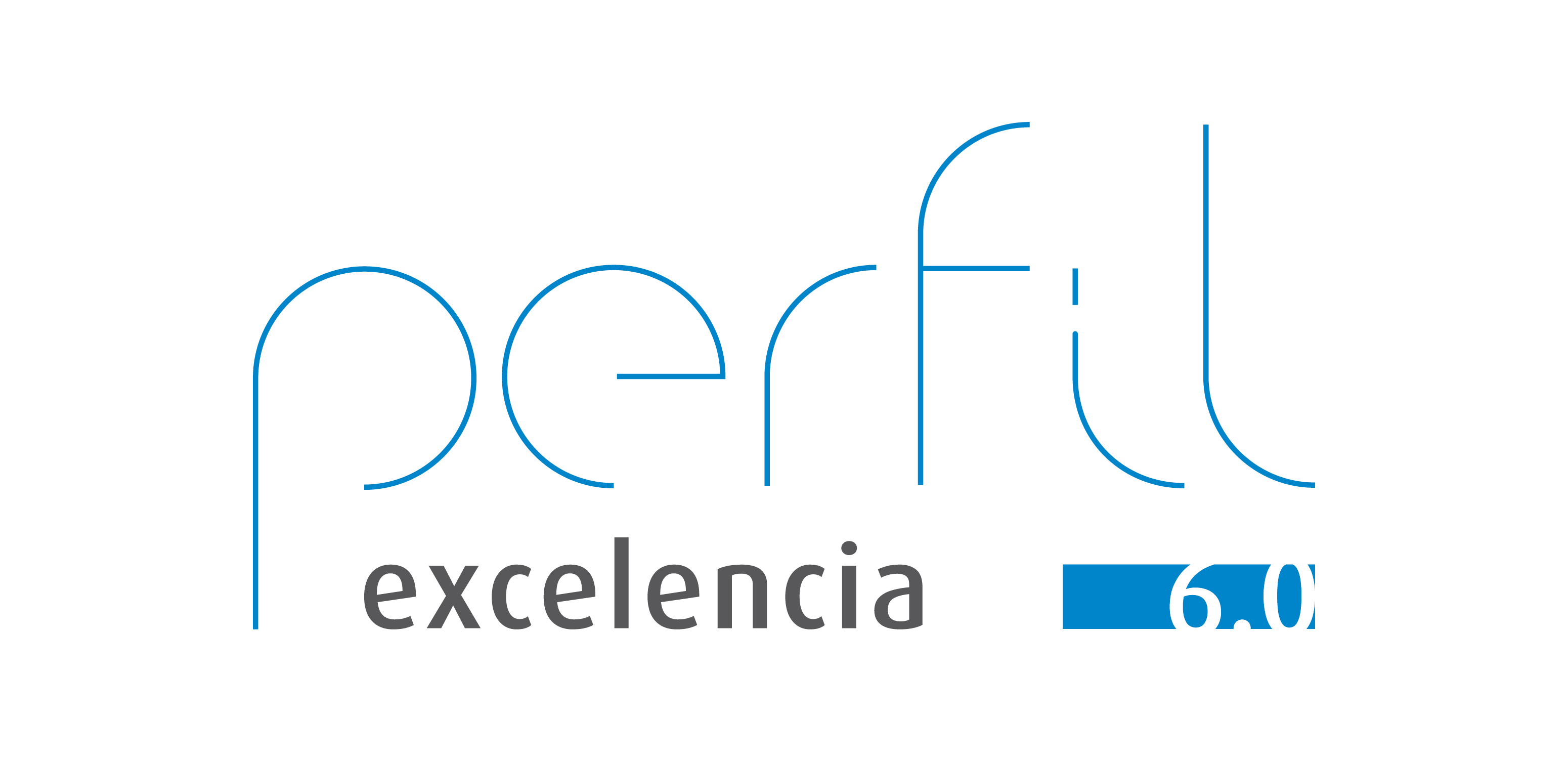 PERFIL PERFIL