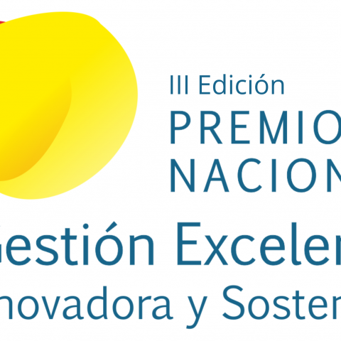 Premio nacional GEIS_III edición_Vertical
